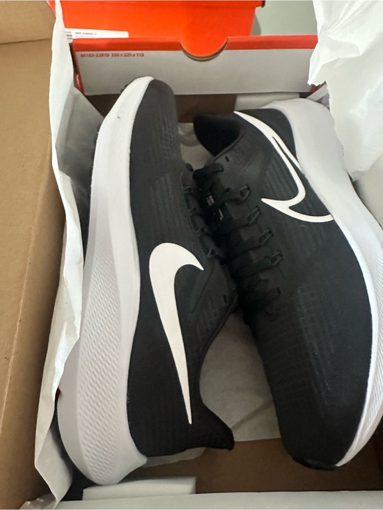Nike Other - Nike Air Zoom Pegasus 39